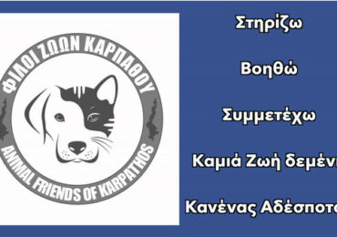 Έξι χρόνια προσφοράς, αγώνα και ελπίδας! Η διαδρομή της Ένωσης Φίλων Ζώων Καρπάθου από το 2020 μέχρι σήμερα