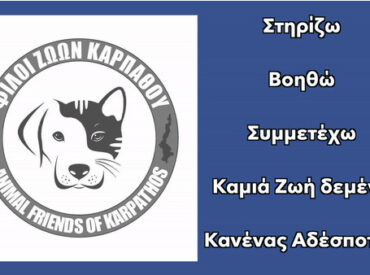 Έ&xi;&iota; &chi;&rho;ό&nu;&iota;&alpha; &pi;&rho;&omicron;&sigma;&phi;&omicron;&rho;ά&sigmaf;, &alpha;&gamma;ώ&nu;&alpha; &kappa;&alpha;&iota; &epsilon;&lambda;&pi;ί&delta;&alpha;&sigmaf;! &Eta; &delta;&iota;&alpha;&delta;&rho;&omicron;&mu;ή &tau;&eta;&sigmaf; Έ&nu;&omega;&sigma;&eta;&sigmaf; &Phi;ί&lambda;&omega;&nu; &Zeta;ώ&omega;&nu; &Kappa;&alpha;&rho;&pi;ά&theta;&omicron;&upsilon; &alpha;&pi;ό &tau;&omicron; 2020 &mu;έ&chi;&rho;&iota; &sigma;ή&mu;&epsilon;&rho;&alpha;