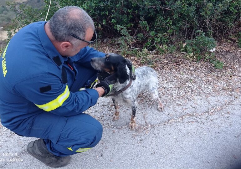 Η Πυροσβεστική Καρπάθου έσπευσε στο χαμένο σκυλί του Απερίου