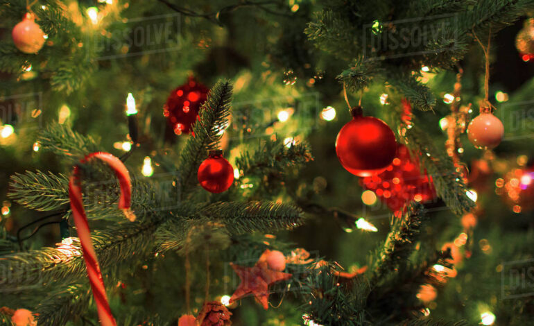 Η Καρπαθιά Φωτεινή Περδικολόγου θα ανάψει το Χριστουγενιάτικο δέντρο της Κηφισιάς