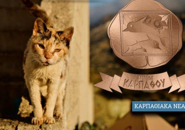 Δήμος Καρπάθου: Πρόσκληση υποβολής προσφοράς για την προμήθεια ζωοτροφών Αδέσποτων Ζώων Συντροφιάς