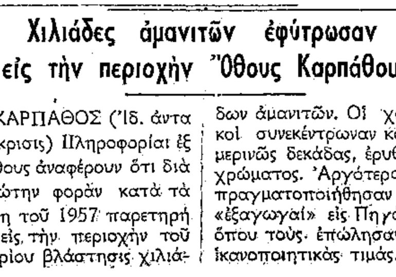 Σαν σήμερα 10.1.1958 εφ. Ροδιακή "Χιλιάδες αμανίτες στο Όθος Καρπάθου"