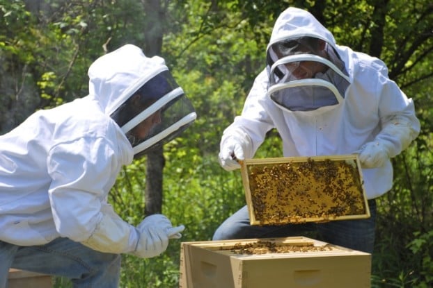 Στήριξη των Μικρών Νησιών του Αιγαίου Πελάγους στον Τομέα της Μελισσοκομίας
