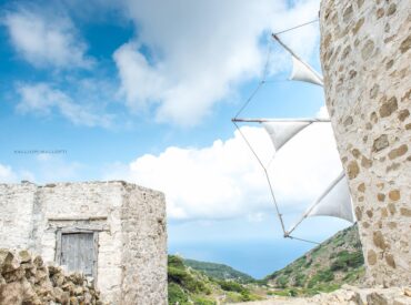&Epsilon;&pi;&iota;&sigma;&tau;&rho;&omicron;&phi;ή &sigma;&tau;&iota;&sigmaf; &rho;ί&zeta;&epsilon;&sigmaf;: &Mu;&iota;&alpha; &iota;&delta;έ&alpha; &pi;&omicron;&upsilon; &eta; &Kappa;ά&rho;&pi;&alpha;&theta;&omicron;&sigmaf; &gamma;&nu;&omega;&rho;ί&zeta;&epsilon;&iota; ή&delta;&eta;