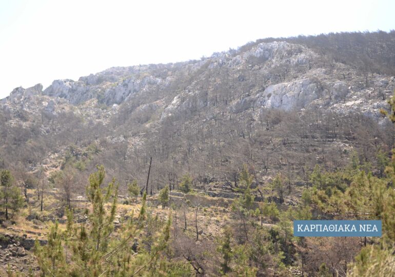 Απαγόρευση βοσκής στην καμένη έκταση στη θέση «Έξω Βουνό», εντός των διοικητικών ορίων των κοινοτήτων Μεσοχωρίου και Σπόων, Δήμου Καρπάθου