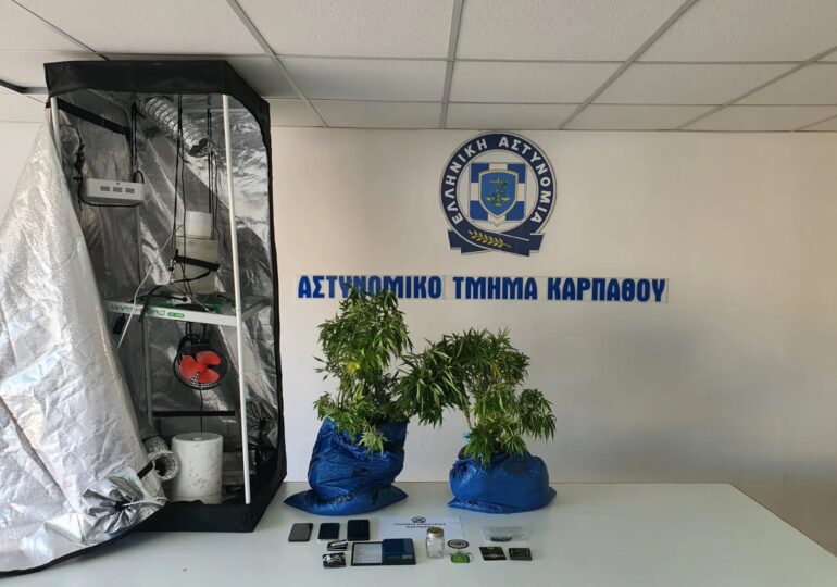 Ελληνική Αστυνομία:  Αυτά είναι τα δενδρύλλια και τα κινητά που κατασχέθηκαν στην Κάρπαθο