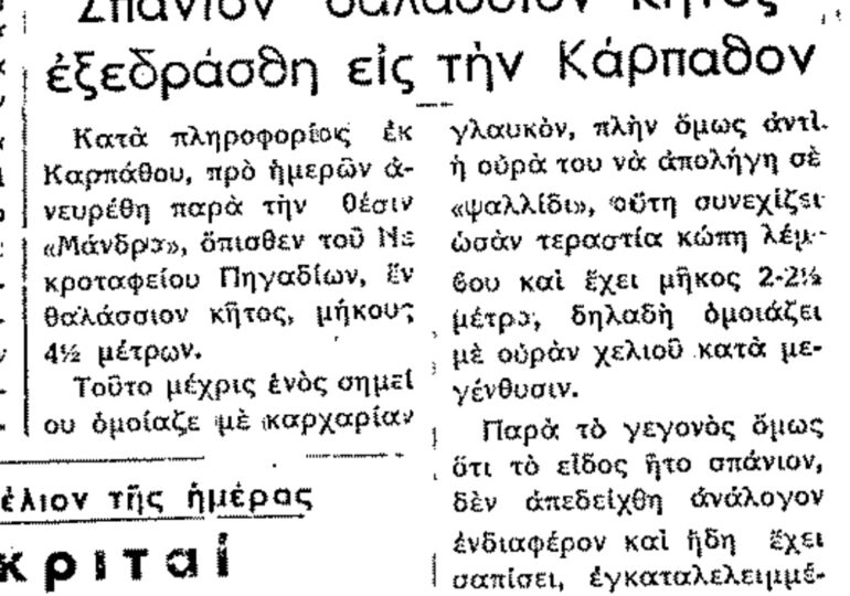 Σαν σήμερα, 9.12.56, εφ. Ροδιακή: Σπάνιο θαλάσσιο κήτος ξεβράστηκε στην Κάρπαθο!