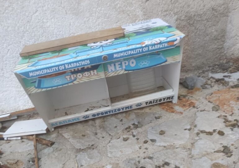 Μ. Φελλουζής για τα αδέσποτα συντροφιάς: «εμείς έχουμε τη διαχείριση, εμείς βάζουμε τα χρήματα, εμείς έχουμε το πρόγραμμα μας….»