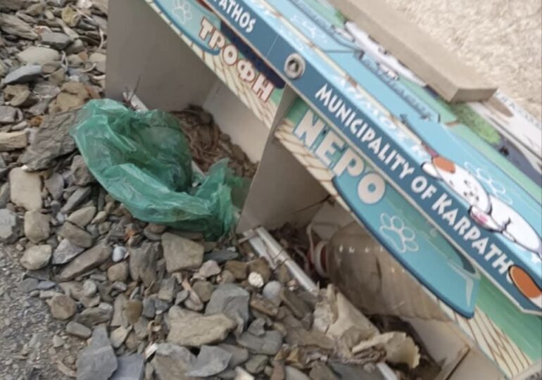 Φωτογραφία χίλιες λέξεις για το πώς ο κ. Φελλούζης και οι σύμβουλοί του αντιμετωπίζουν πραγματικά τα αδέσποτα ζώα του νησιού