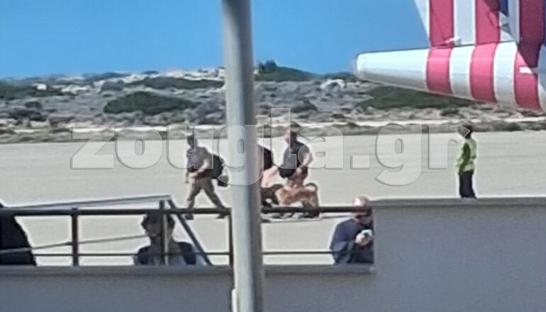 Στην Κάρπαθο η «Anubis Κ9» με τους εκπαιδευμένους σκύλους, για τον 55χρονο Άγγλο αγνοούμενο