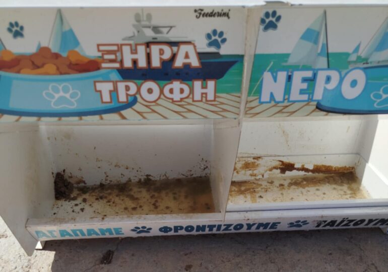 Στο έλεος της πείνας οι γάτες του Μεσοχωρίου – Ο Δήμος Καρπάθου τις εγκατέλειψε