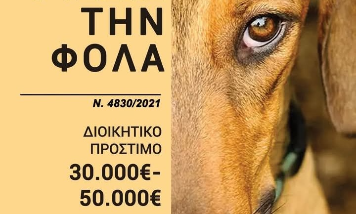 Κάρπαθος: Φόλες στο παλιό πάρκινγκ κοντά στο Δασονομείο – Βία και σιωπή που πληγώνουν τα ζώα