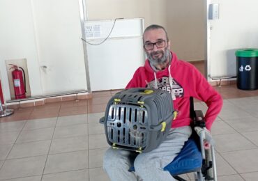 Μια πράξη αγάπης και προσφοράς: Ο αδελφός της Προέδρου των Φίλων Ζώων Καρπάθου συνόδευσε δύο μικρά ζωάκια προς την Αθήνα