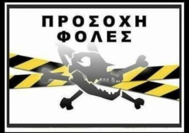 Παγίδες θανάτου στο κέντρο των Πηγαδίων – Ντροπή και αγανάκτηση για τα νέα περιστατικά κακοποίησης ζώων
