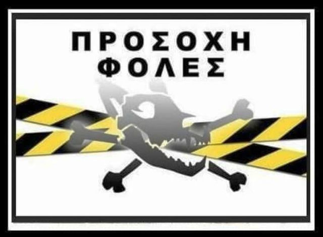 Παγίδες θανάτου στο κέντρο των Πηγαδίων – Ντροπή και αγανάκτηση για τα νέα περιστατικά κακοποίησης ζώων