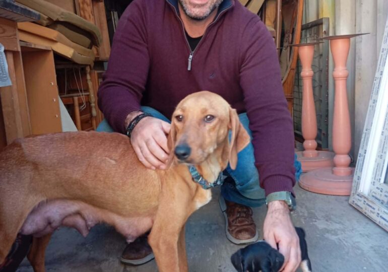 Εκ νέου τοποθέτηση του κ. Ιωάννη Χαλκιά στη θέση του Αντιδημάρχου Δήμου Καρπάθου