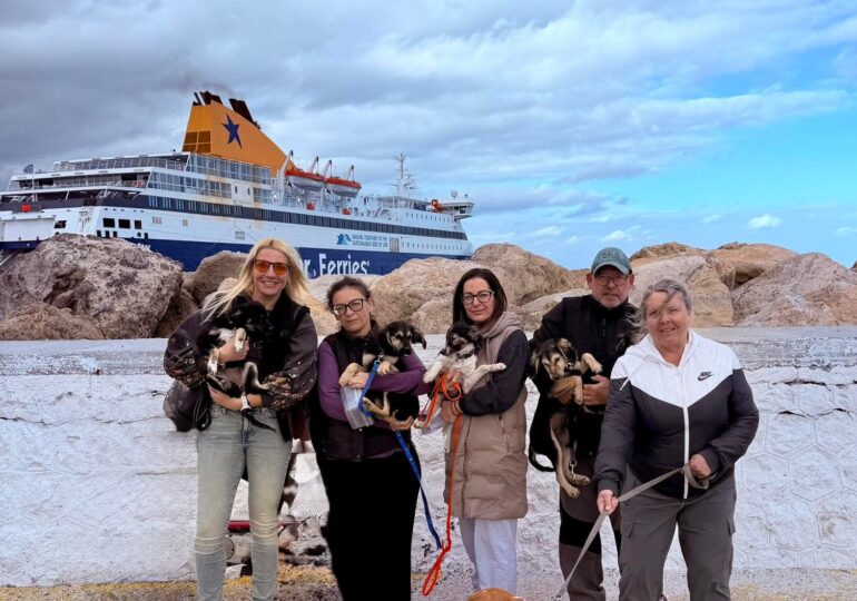 Αποστολή Αγάπης: Από το Λιμάνι της Καρπάθου στα παντοτινά τους σπίτια!