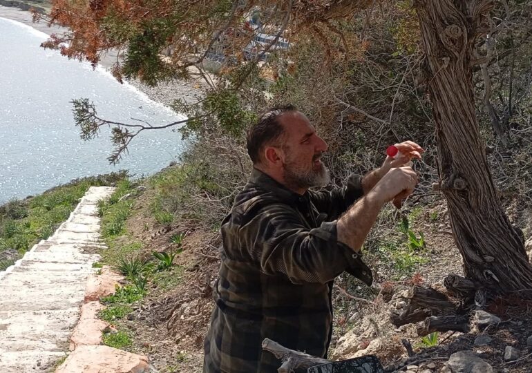 Κάρπαθος - Ολοκληρώθηκε η διήμερη αυτοψία ειδικού κλιμακίου για την αντιμετώπιση της μαζικής νέκρωσης των κωνοφόρων