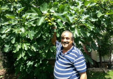 Μανώλης Κασσωτης: Αυτοί που φεύγουν: Βασίλης Νιοτής (Also in English)