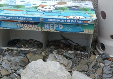 Ντροπή για την ταΐστρα των αδέσποτων γατών στο Διαφάνι