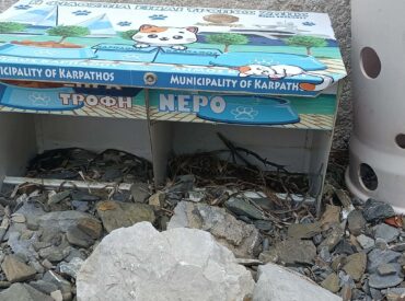 &Nu;&tau;&rho;&omicron;&pi;ή &gamma;&iota;&alpha; &tau;&eta;&nu; &tau;&alpha;ΐ&sigma;&tau;&rho;&alpha; &tau;&omega;&nu; &alpha;&delta;έ&sigma;&pi;&omicron;&tau;&omega;&nu; &gamma;&alpha;&tau;ώ&nu; &sigma;&tau;&omicron; &Delta;&iota;&alpha;&phi;ά&nu;&iota;
