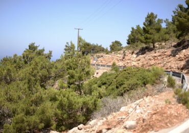 Αντιπυρικές παρεμβάσεις στην Κάρπαθο – Εγκρίθηκε υλοτομία πεύκων κοντά σε γραμμές ηλεκτροδότησης