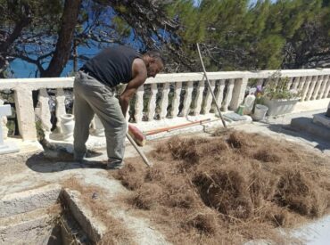 &Eta; &alpha;&delta;&iota;&alpha;&phi;&omicron;&rho;ί&alpha; &sigma;&tau;&omicron; &mu;&epsilon;&gamma;&alpha;&lambda;&epsilon;ί&omicron; &tau;&eta;&sigmaf;: Ό&tau;&alpha;&nu; &eta; &iota;&delta;&iota;&omega;&tau;&iota;&kappa;ή &pi;&rho;&omega;&tau;&omicron;&beta;&omicron;&upsilon;&lambda;ί&alpha; &kappa;&alpha;&lambda;ύ&pi;&tau;&epsilon;&iota; &tau;&eta;&nu; &alpha;&nu;&iota;&kappa;&alpha;&nu;ό&tau;&eta;&tau;&alpha; &tau;&omega;&nu; &alpha;&rho;&mu;&omicron;&delta;ί&omega;&nu;