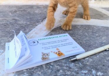 Οι λαχνοί εξαντλήθηκαν! Απόψε η μεγάλη κλήρωση των Φίλων Ζώων Καρπάθου