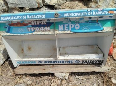 &Mu;&epsilon;&sigma;&omicron;&chi;ώ&rho;&iota;: 14 &eta;&mu;έ&rho;&epsilon;&sigmaf; &chi;&omega;&rho;ί&sigmaf; &tau;&rho;&omicron;&phi;ή &gamma;&iota;&alpha; &tau;&iota;&sigmaf; &alpha;&delta;έ&sigma;&pi;&omicron;&tau;&epsilon;&sigmaf; &gamma;ά&tau;&epsilon;&sigmaf;