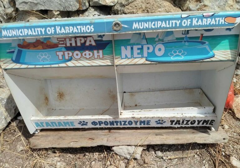 Μεσοχώρι: 14 ημέρες χωρίς τροφή για τις αδέσποτες γάτες
