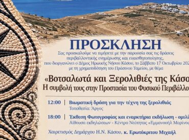 "&Beta;&omicron;&tau;&sigma;&alpha;&lambda;&omega;&tau;ά &kappa;&alpha;&iota; &Xi;&epsilon;&rho;&omicron;&lambda;&iota;&theta;&iota;έ&sigmaf; &tau;&eta;&sigmaf; &Kappa;ά&sigma;&omicron;&upsilon;": &Eta; &sigma;&upsilon;&mu;&beta;&omicron;&lambda;ή &tau;&omicron;&upsilon;&sigmaf; &sigma;&tau;&eta;&nu; &Pi;&rho;&omicron;&sigma;&tau;&alpha;&sigma;ί&alpha; &tau;&omicron;&upsilon; &Phi;&upsilon;&sigma;&iota;&kappa;&omicron;ύ &Pi;&epsilon;&rho;&iota;&beta;ά&lambda;&lambda;&omicron;&nu;&tau;&omicron;&sigmaf;